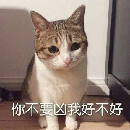 被萌化了！这套委屈巴巴的猫咪表情包太会撒娇了