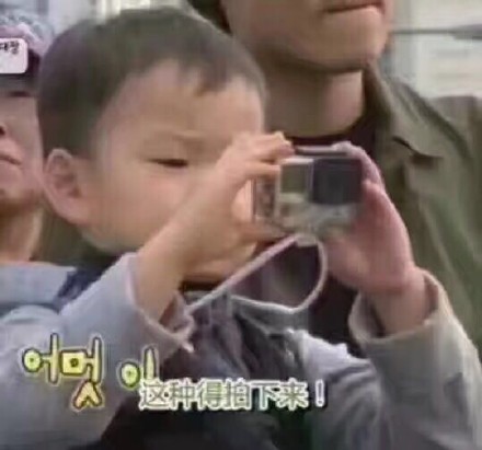 8月13日热门表情包原图合集