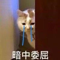 哭情绪表情包整理合集