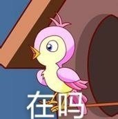 七夕布谷鸟表情包火了！一句“不孤不孤”刷屏聊天框