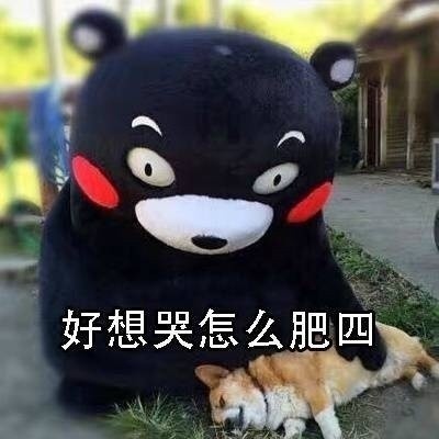 熊本熊版“怎么肥四”表情包合集来了