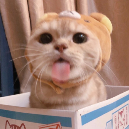 超萌“略略略”吐舌表情包合集来啦