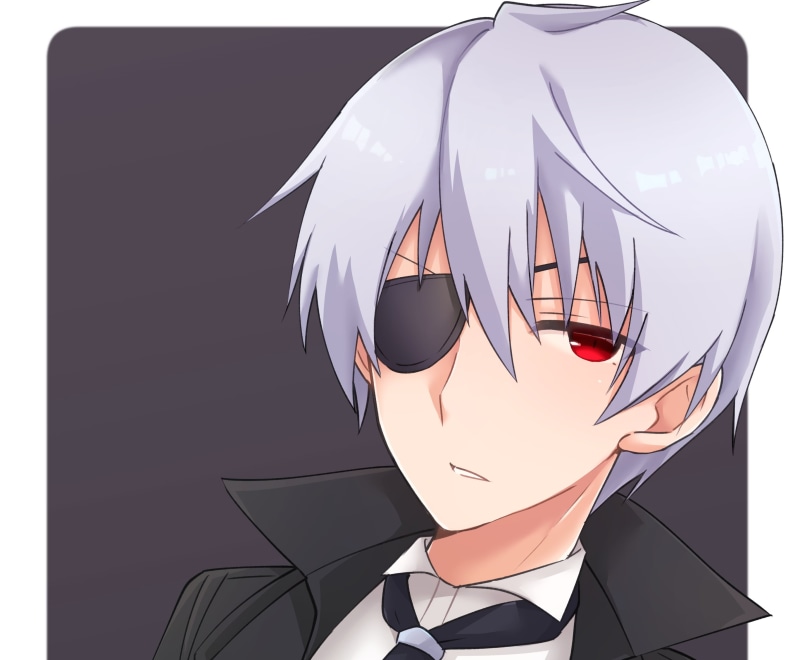 《平凡职业造就世界最强》动漫壁纸 白发男主霸气登场