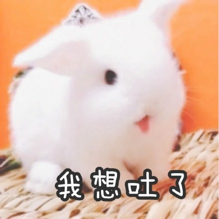 聊天斗图必备！这套兔兔表情包太好用了
