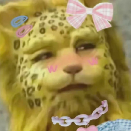 当下超火的金钱豹头像表情包合集