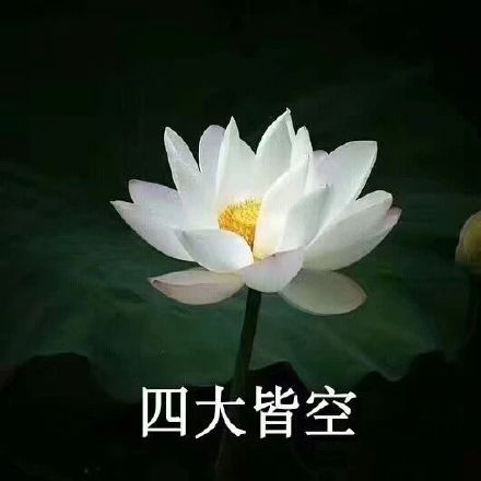 中老年佛系荷花表情包头像火了 主打松弛感治愈风