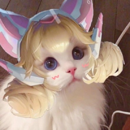 猫咪联名王者荣耀头像合集来啦