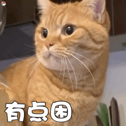 超实用！一组超萌猫咪动态表情包合集