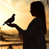 24张氛围感拉满的女生夕阳头像 每张都超有意境