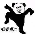 “在下功夫熊猫，请指教