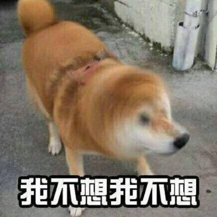 跟女朋友讲道理时她的真实反应 这套表情包太真实了
