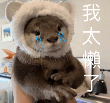 聊天斗图必备！这套可爱萌宠表情包太好用了