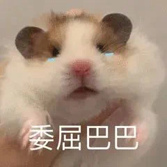 仓鼠表情包合集来啦，斗图用它准没错