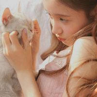 18张清新感抱猫女生头像 治愈又好看的女猫同框头像合集