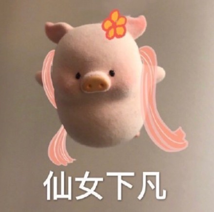 聊天斗图必备！猪猪表情包合集来啦