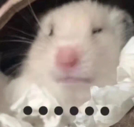 仓鼠表情包合集来啦，斗图用它准没错