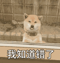 整理好的狗子动图表情包合集