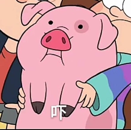 超火摇摇小猪表情包来啦！