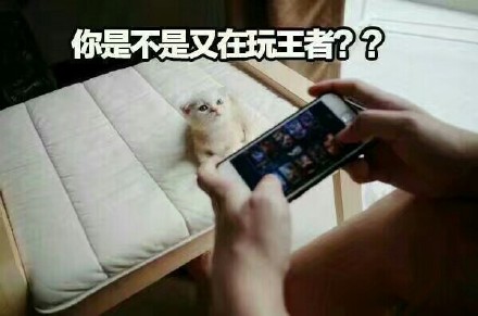 快醒醒！你是不是又躲在摸鱼玩王者？