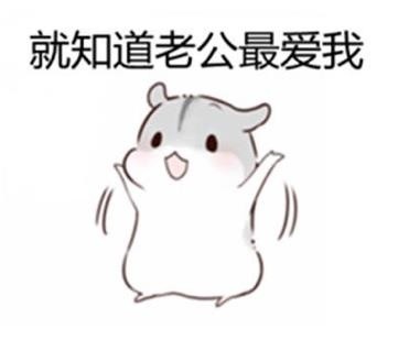 老婆撩老公专属表情包来啦