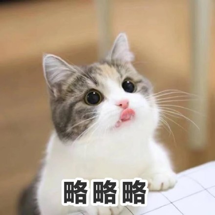 撸猫党集合！这套猫咪表情包太适合斗图了