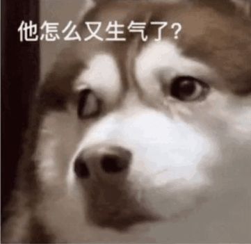 情侣聊天能用的实用表情包合集