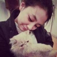 12张治愈感拉满！女生抱小猫的头像合集来了