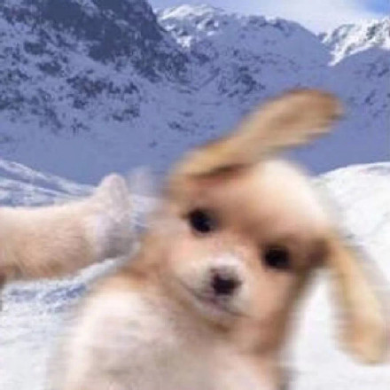 超甜推脑袋狗狗情侣头像来啦