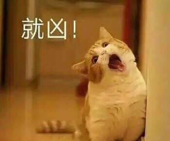 吵架没输过？这套生气猫咪表情包帮你拿捏情绪