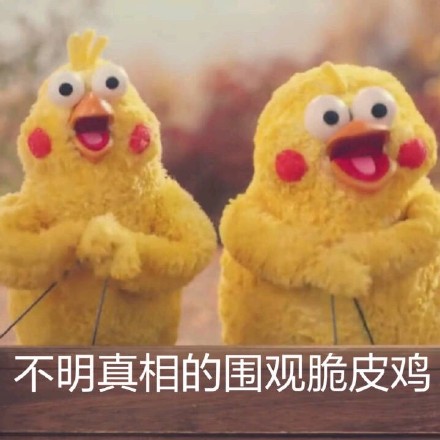 鹦鹉兄弟表情包火了！网友：这明明就是脆皮鸡嘛