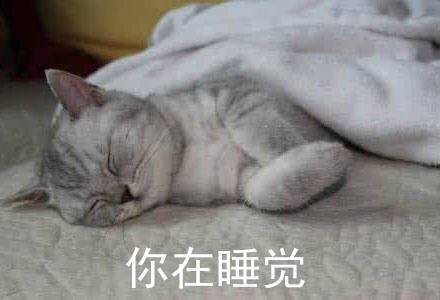 暑假在家的真实日常，这套表情包精准戳中你了吗