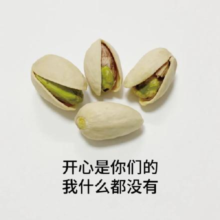 聊天必备！这套开心果表情包太好用了