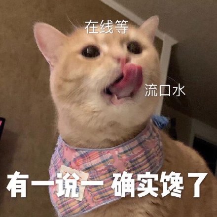 今天的猫猫斗图表情包来啦