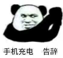聊天斗图神器！这套熊猫头表情包直接封神