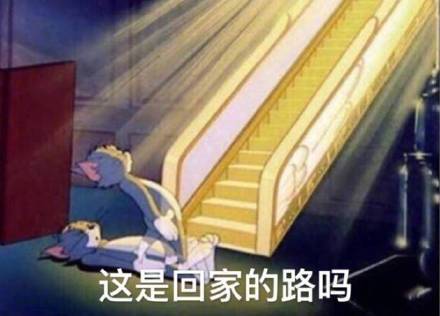 打工人看过来！这套猫抓老鼠表情包太贴日常了