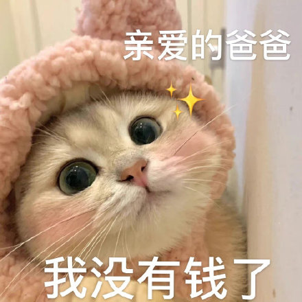 爸宝大嘴猫表情包来了 聊天斗图用得上