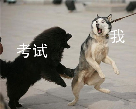 打工人、考试党同款！
