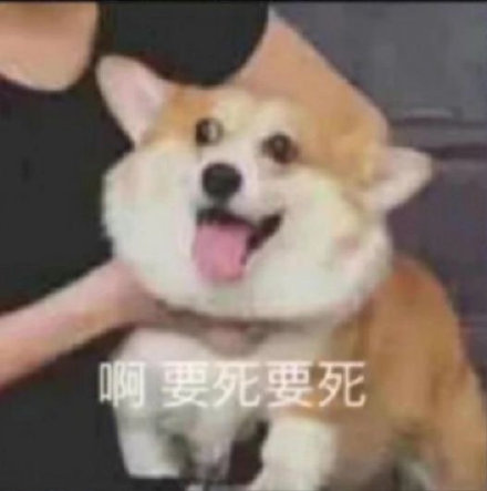 聊天斗图必备！超全狗勾表情包合集