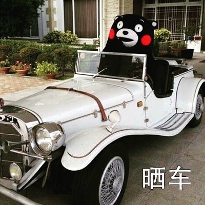 朋友圈日常同款表情包合集