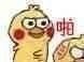 手慢无！这套高糊鹦鹉表情包终于集齐了