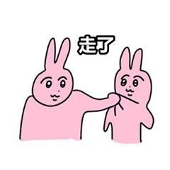 粉粉兔兔打架表情包来啦
