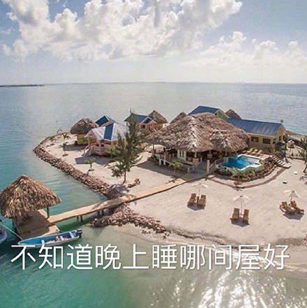 网友整活：我的人生有太多烦恼了 这套炫富表情包太扎心了