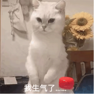 养猫养狗的看过来！这套动图表情包太好用了