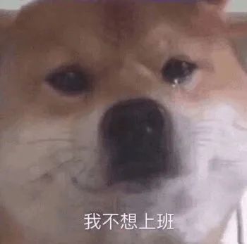 打工人离职必备！这套表情包直接把心声说透了