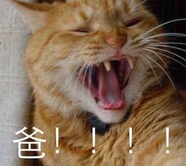 父亲节专属表情包上新啦