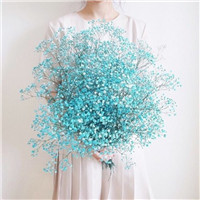 21张唯美拿花女生头像合集 鲜花女孩头像素材大全