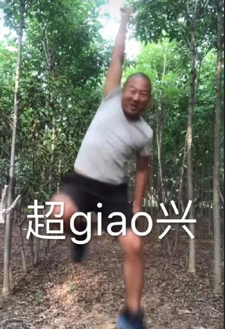 giao哥专属表情包合集来啦