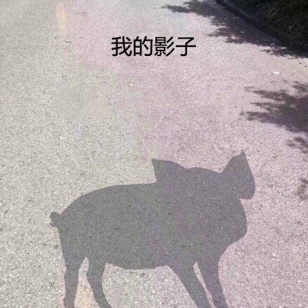 谁懂啊！这套“人生好难”表情包精准戳中打工人