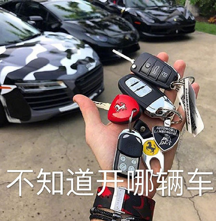 网友整活：我的人生有太多烦恼了 这套炫富表情包太扎心了