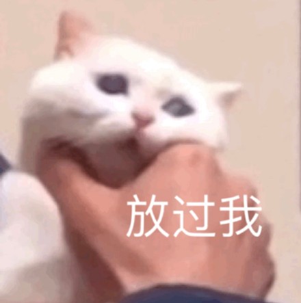 想找软乎乎的斗图素材？这套超萌喵星人表情包别错过